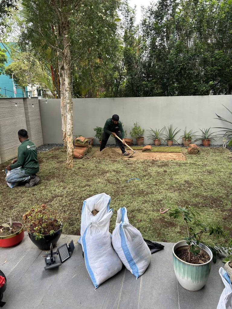 image-Natural Grass Planting