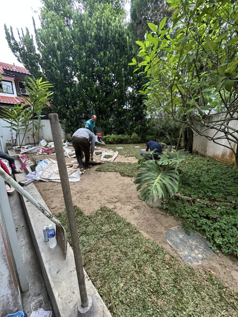 image-Natural Grass Planting-IMG_1409