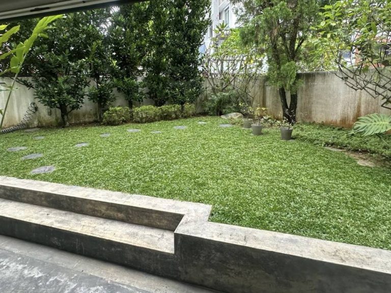 image-Natural Grass Planting-IMG_4053