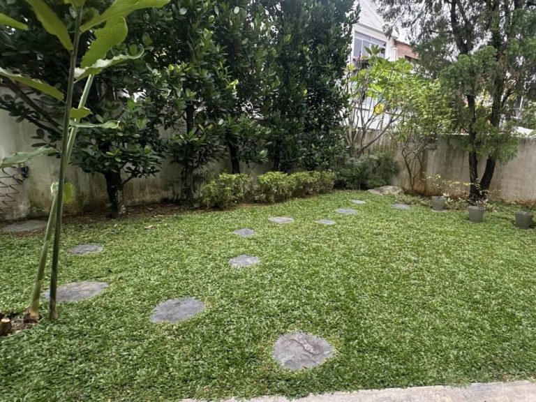 image-Natural Grass Planting-IMG_4056